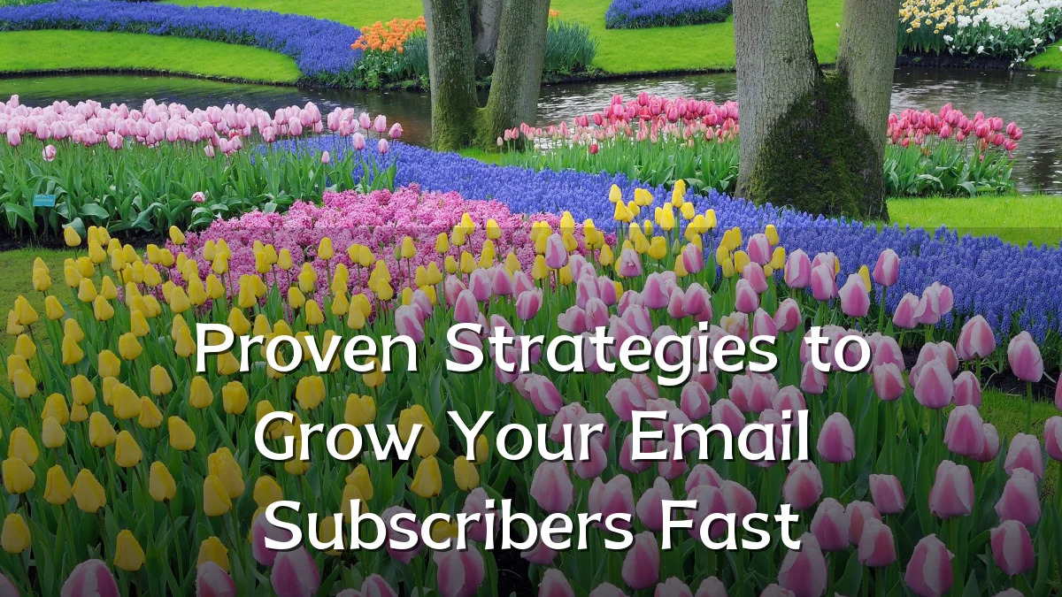 Proven Strategies to Grow Your Email Subscribers Fast