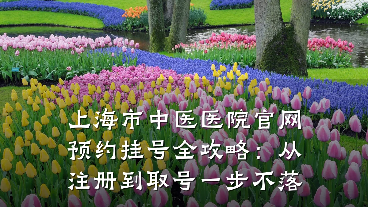 上海市中医医院官网预约挂号全攻略:从注册到取号一步不落