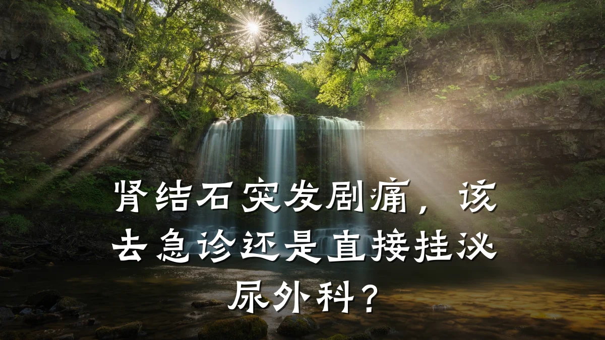 肾结石突发剧痛,该去急诊还是直接挂泌尿外科?