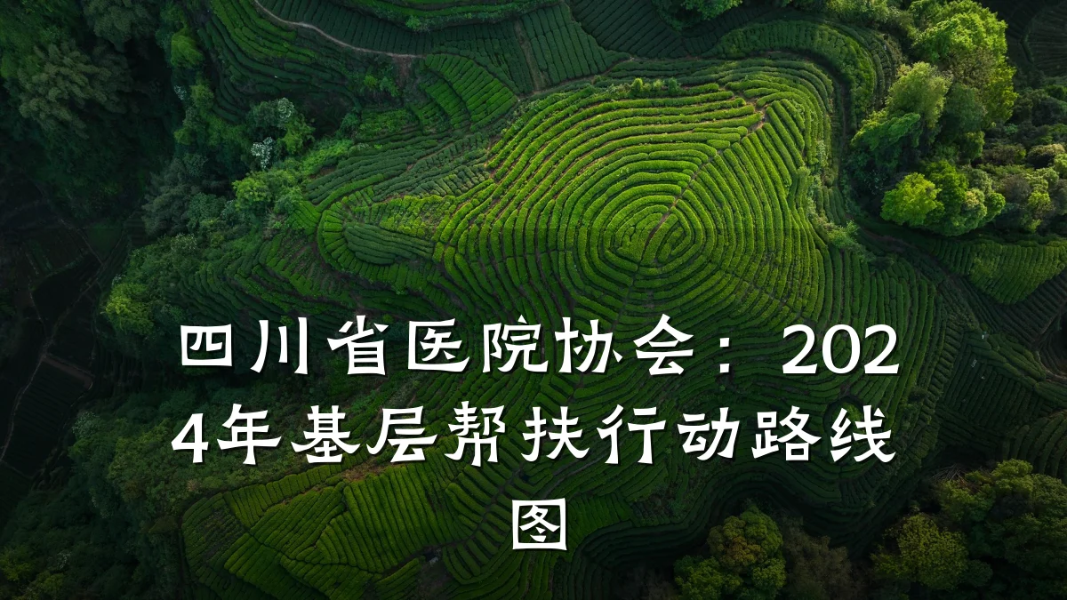 四川省医院协会:2024年基层帮扶行动路线图