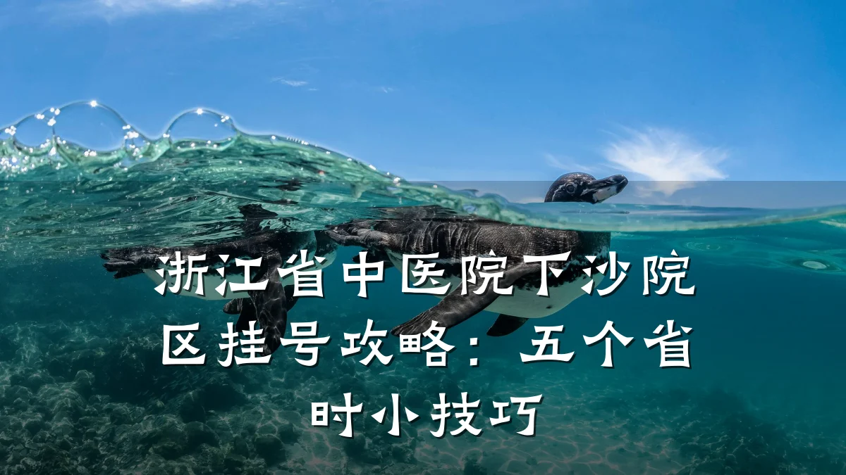浙江省中医院下沙院区挂号攻略:五个省时小技巧