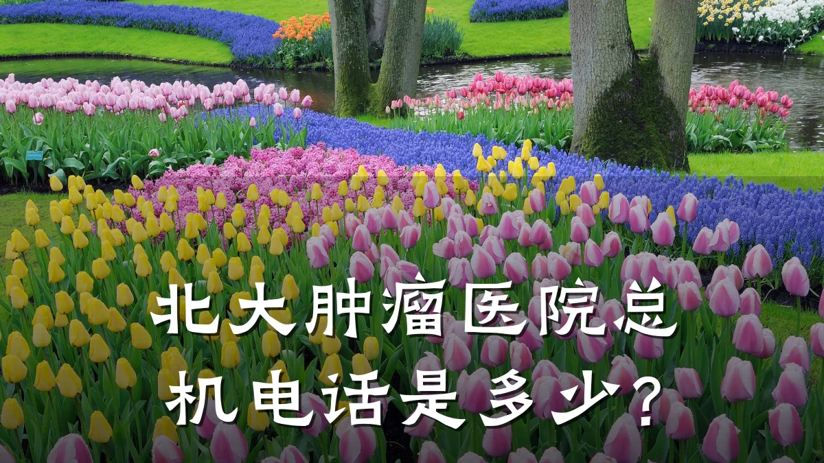 北大肿瘤医院总机电话是多少?