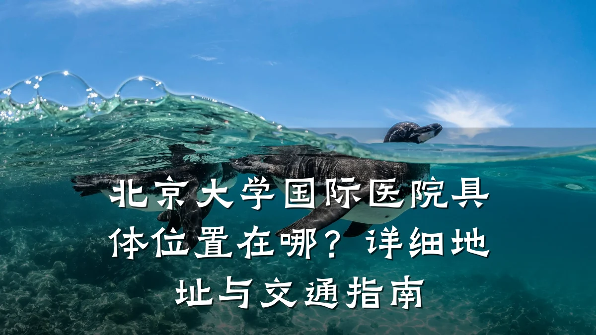 北京大学国际医院具体位置在哪?详细地址与交通指南