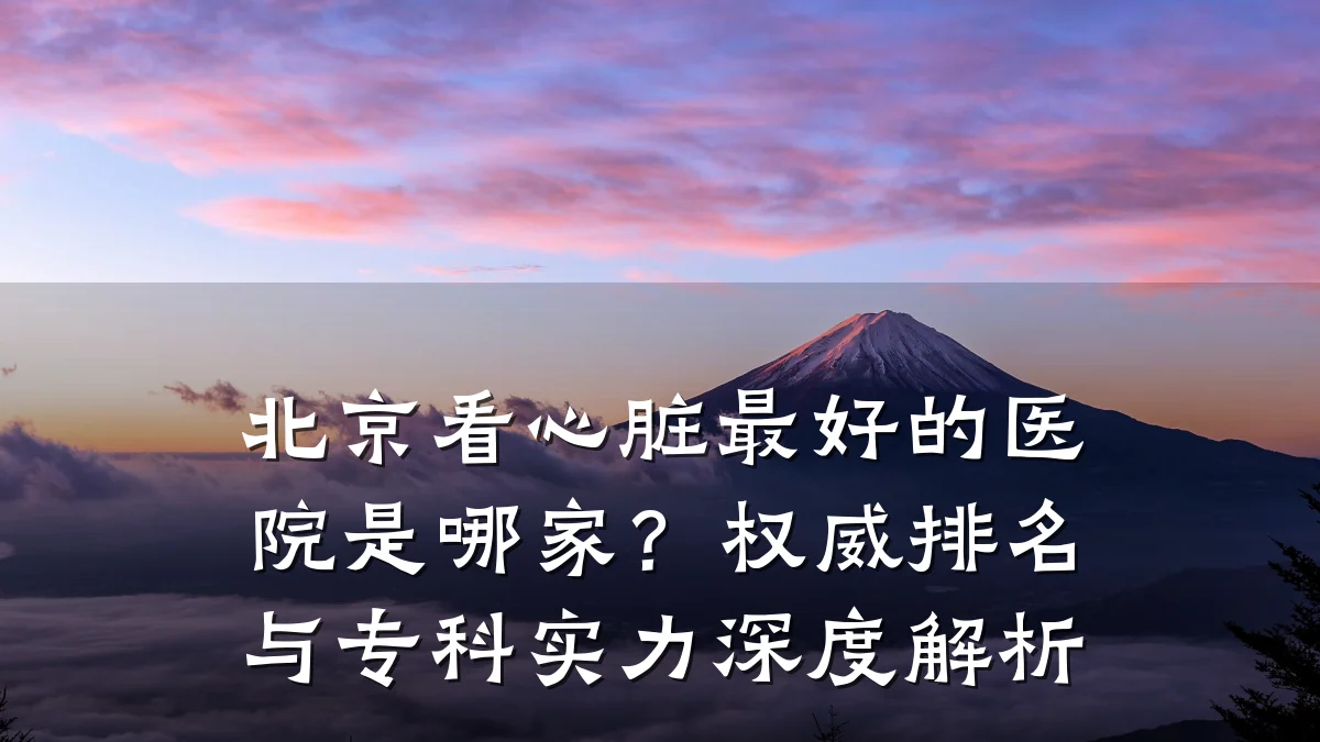 北京看心脏最好的医院是哪家?权威排名与专科实力深度解析
