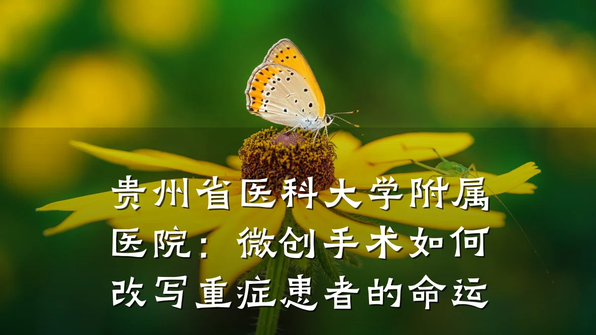 贵州省医科大学附属医院：微创手术如何改写重症患者的命运