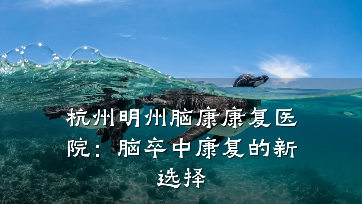 杭州明州脑康康复医院:脑卒中康复的新选择