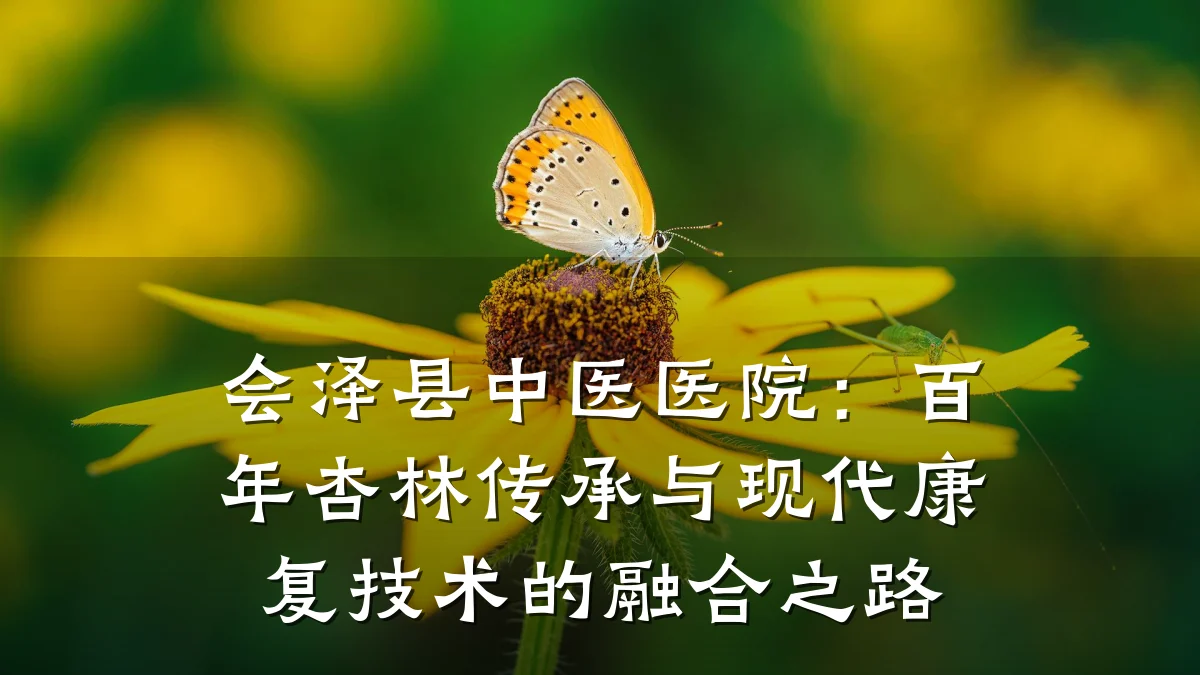 会泽县中医医院:百年杏林传承与现代康复技术的融合之路