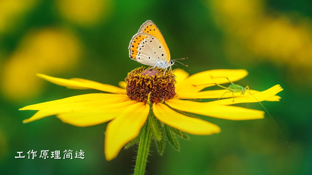 工作原理简述