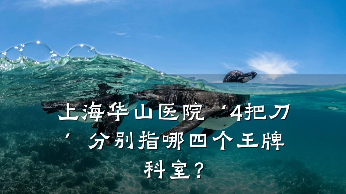 上海华山医院‘4把刀’分别指哪四个王牌科室？