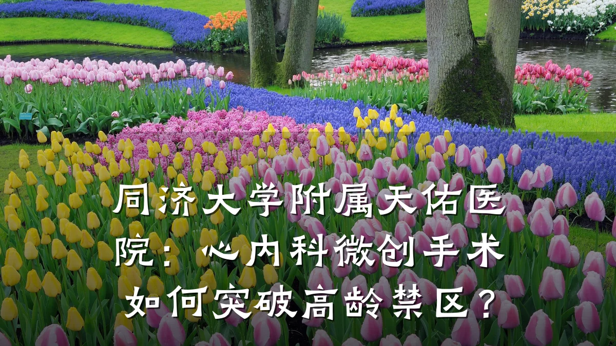 同济大学附属天佑医院:心内科微创手术如何突破高龄禁区?