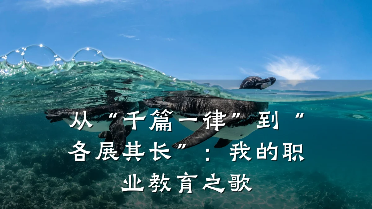 从“千篇一律”到“各展其长”：我的职业教育之歌