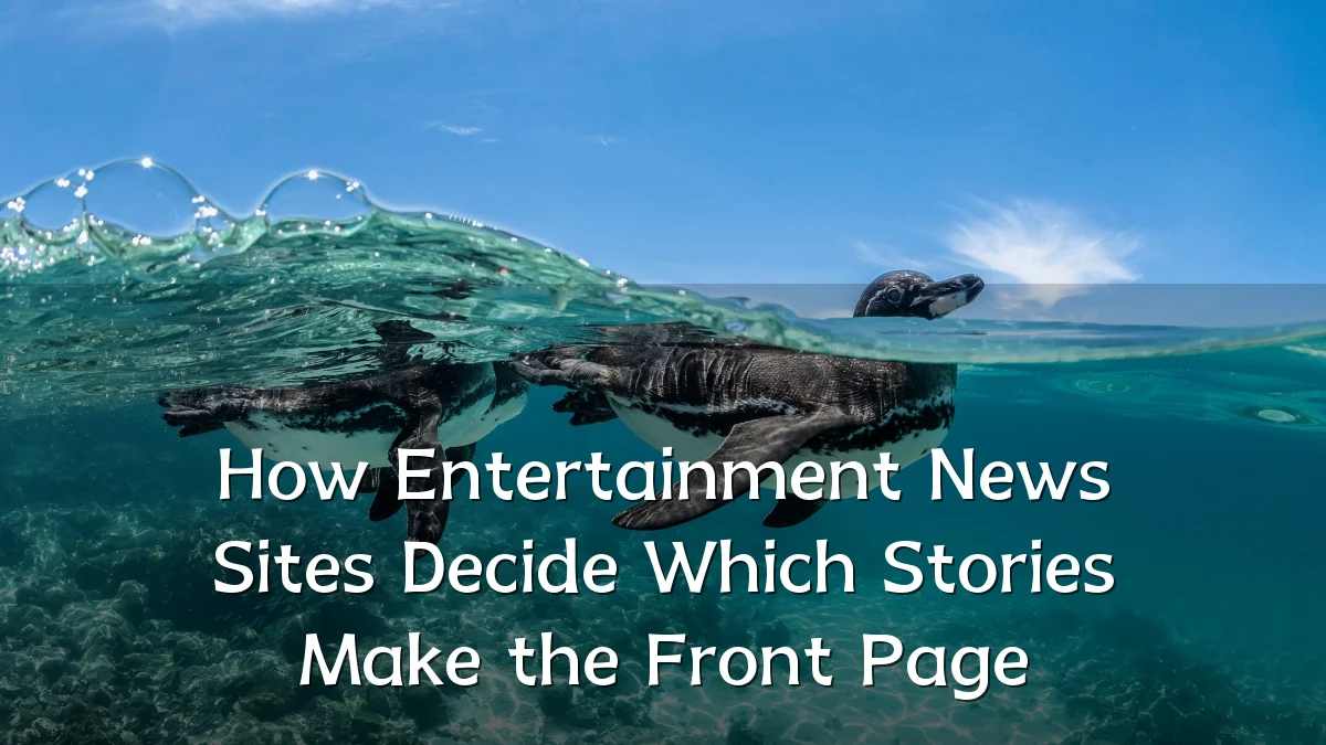 How Entertainment News Sites Decide Which Stories Make the Front Page