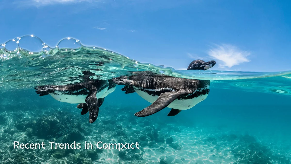 Recent Trends in Compact